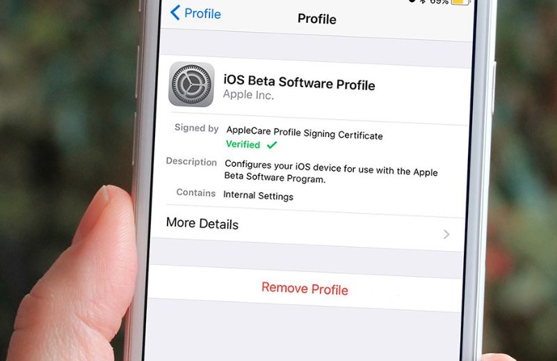 Eliminar el perfil beta de iOS 13