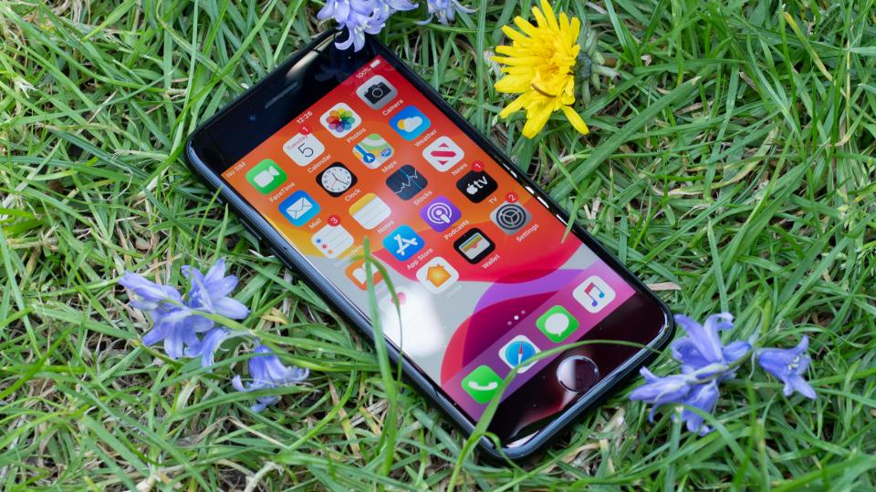 Apple iPhone SE (2020) con césped y flores