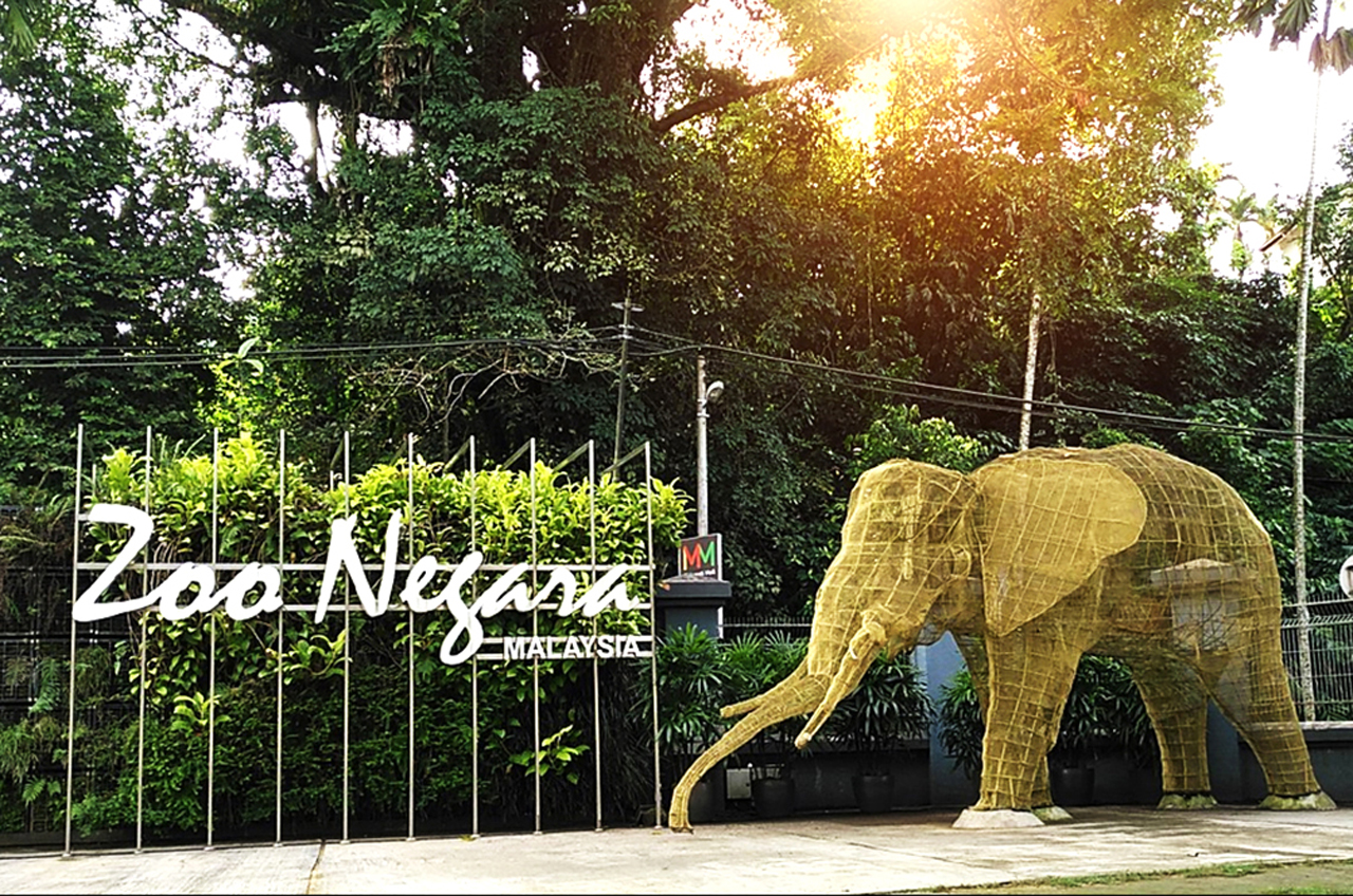 Zoo Negara ahora acepta donaciones en línea a través de Ticket2u y Lazada (ACTUALIZAR)