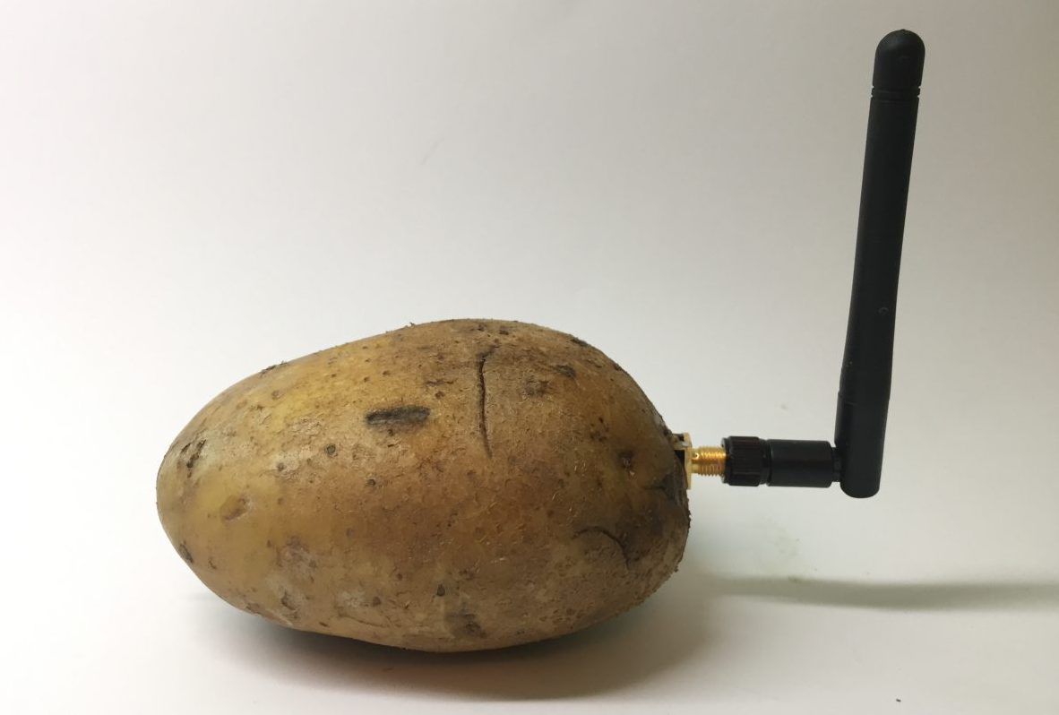 Aquí viene la papa inteligente: Neuraspud ayuda a "transformar" el vegetal en asistente digital
