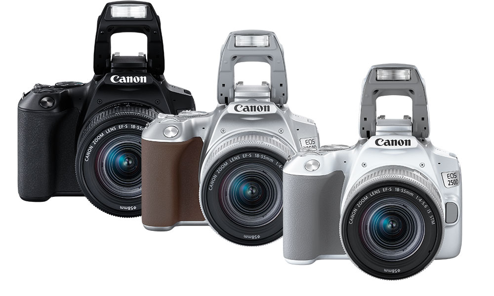Canon presenta la EOS 250D;  La DSLR más pequeña de la empresa hasta la fecha
