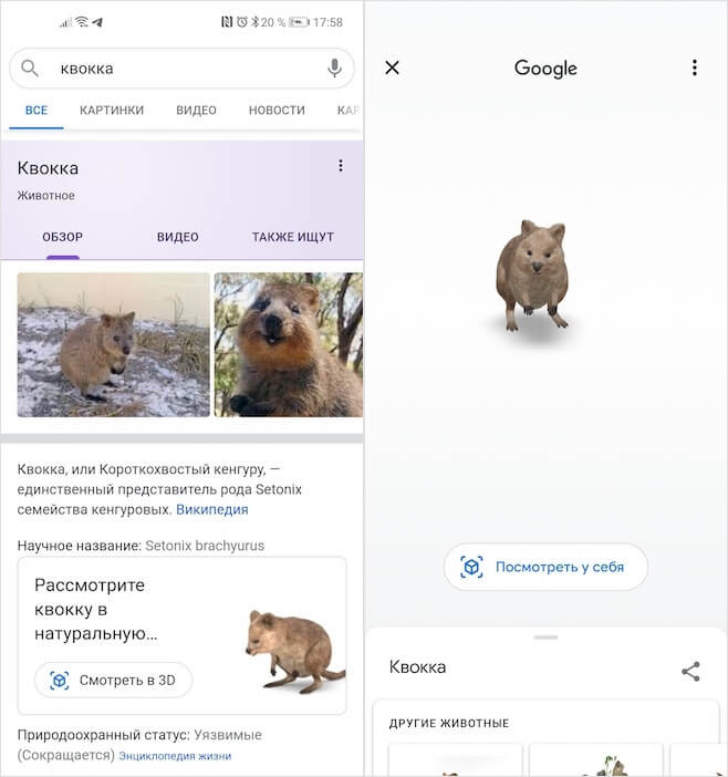 Animales de Google AR