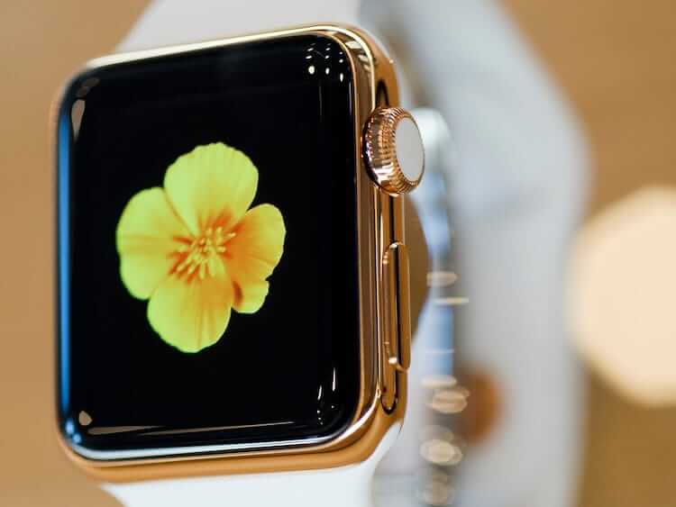 Edición de Apple Watch