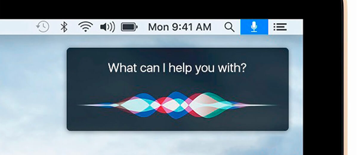 Cómo llamar a Siri solo en iPhone »Wiki Ùtil  Reloj de manzana |  HomePod |  AirPods |  Mac |  Apple TV