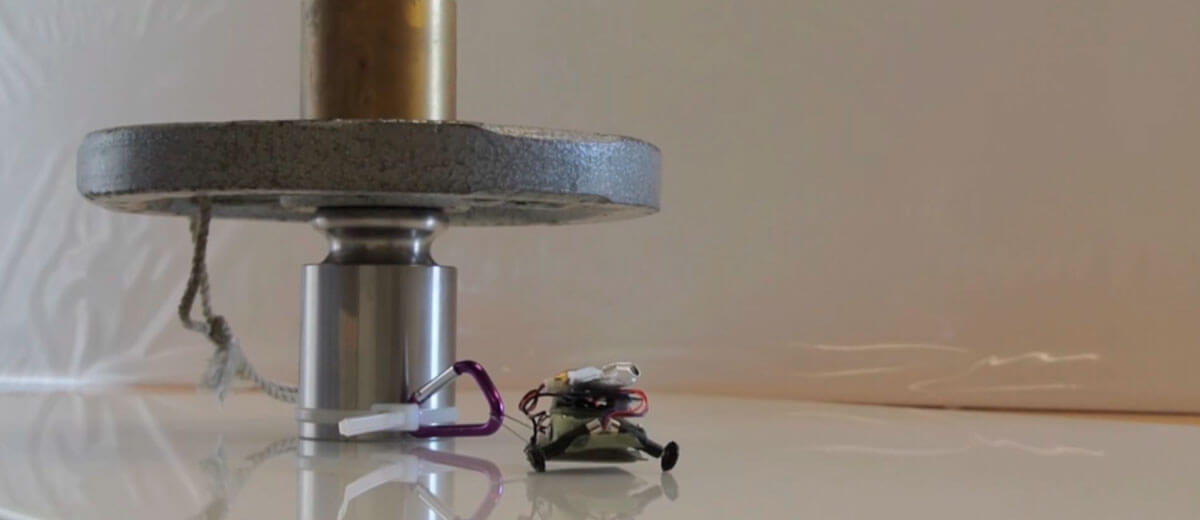 TOP 10 van de kleinste robots ter wereld