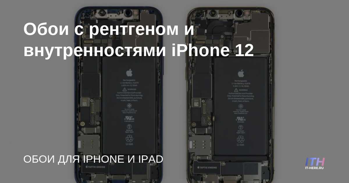 Fondo de pantalla con rayos X y partes internas del iPhone 12