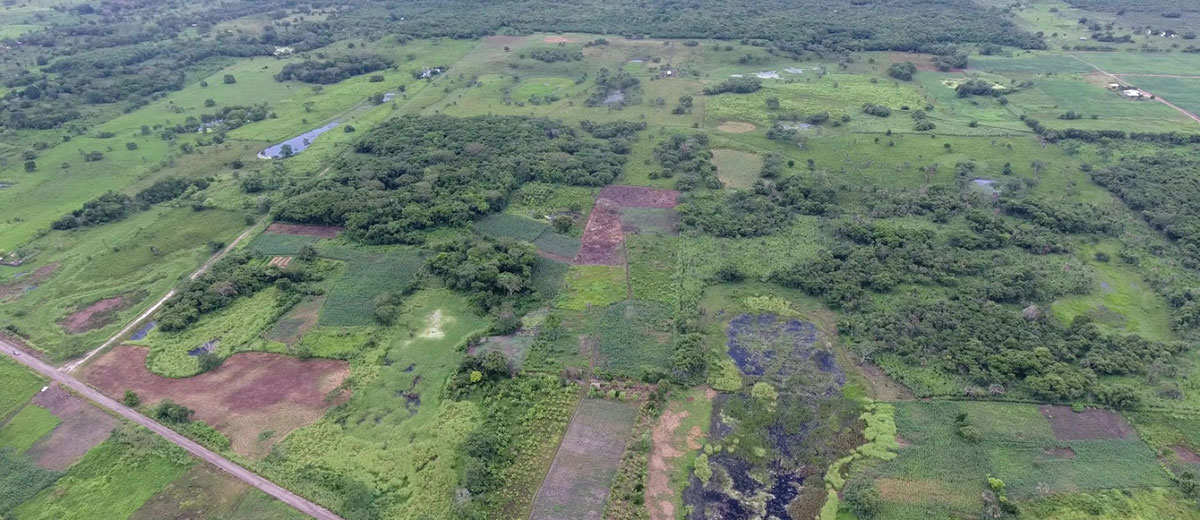 Archeologen ontdekken de verloren Maya-stad met een LiDAR-scanner