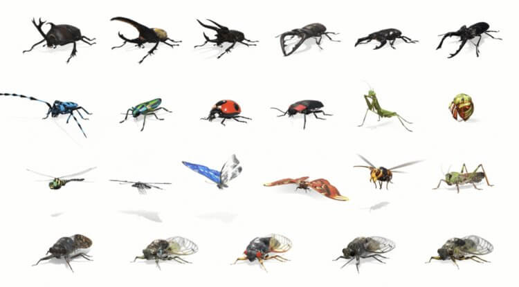 Cómo ver escarabajos, mariposas y otros insectos en 3D en Google
