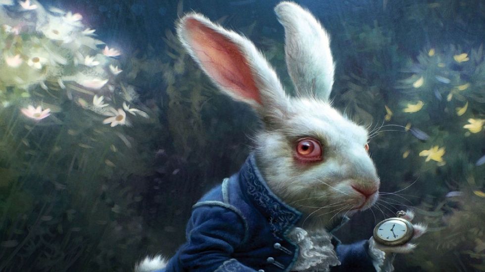 El conejo blanco y otros esquemas de fraude peligrosos a principios de 2020