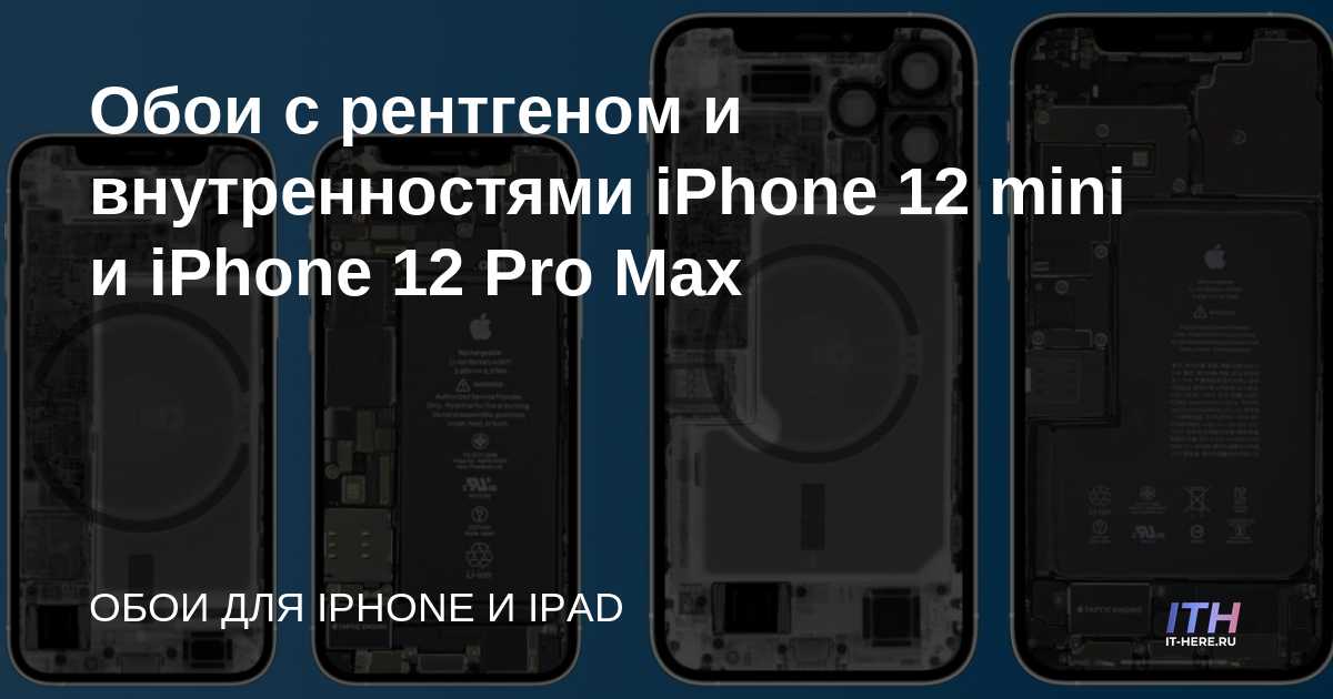 Fondo de pantalla con rayos X y partes internas del iPhone 12 mini y iPhone 12 Pro Max