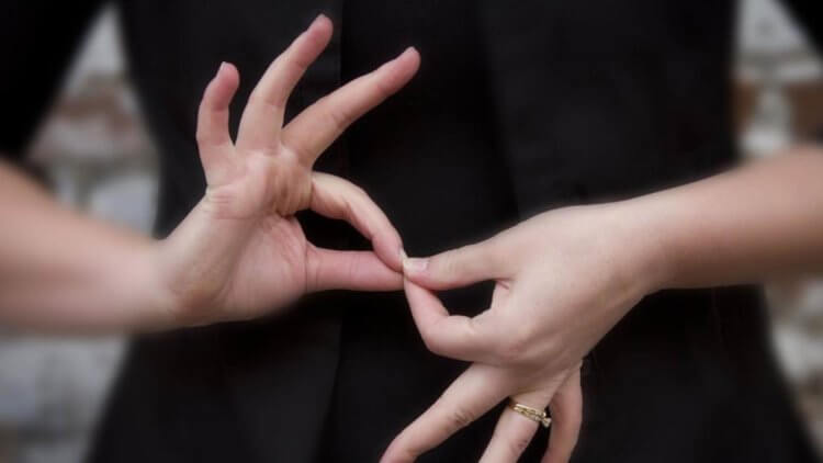 Google quiere enseñar el lenguaje de señas "Traductor de Google"