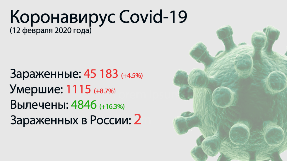 Lo principal del coronavirus Covid-19 el 12 de febrero.  Un conocido epidemiólogo dio un pronóstico deprimente