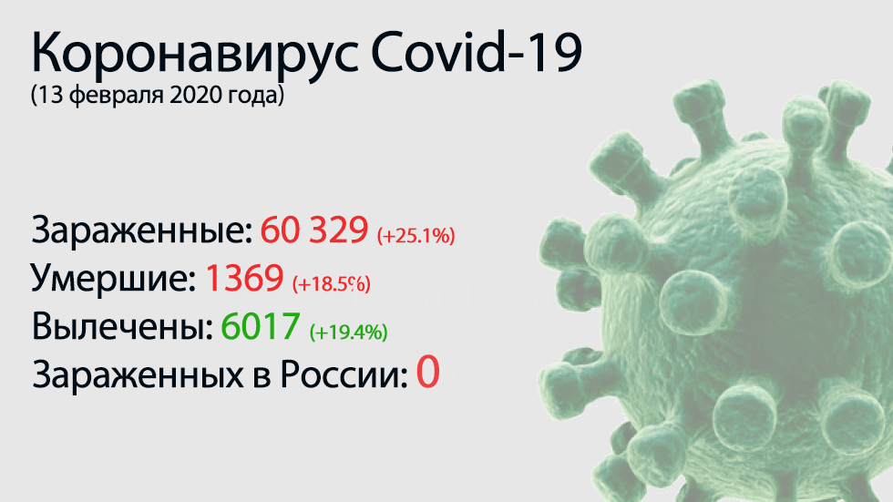 Lo principal del coronavirus Covid-19 el 13 de febrero.  Crecimiento récord de muertes e infecciones