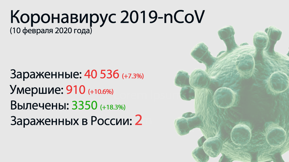 Lo principal del coronavirus-nCoV 2019 el 10 de febrero.  Casi 100 muertes por día es el máximo