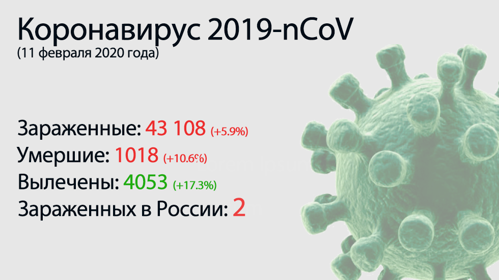 Lo principal del coronavirus-nCoV 2019 el 11 de febrero.  Más de 100 muertes por día