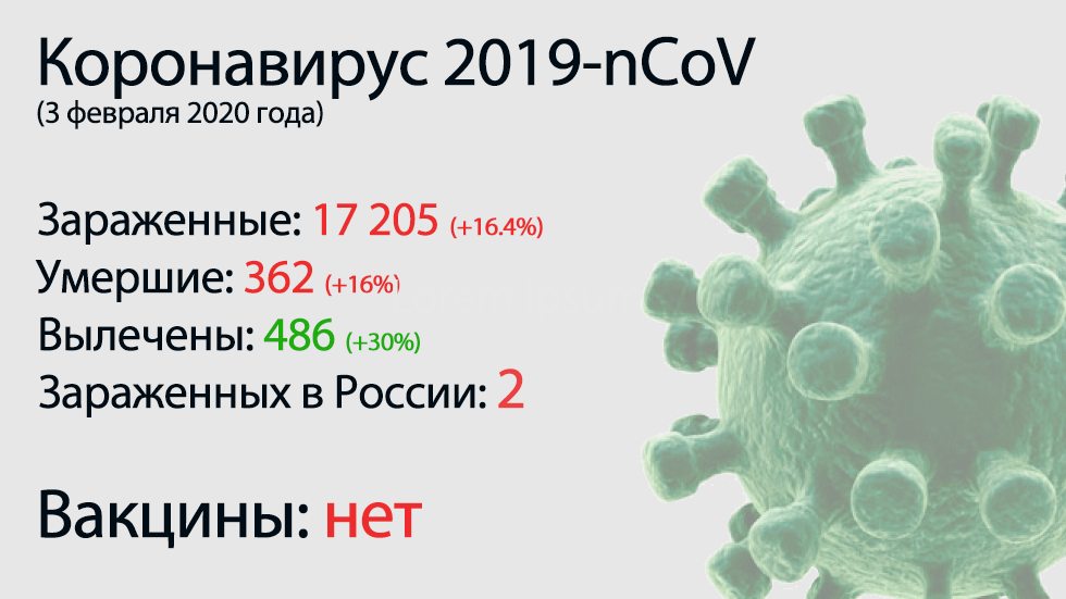 Lo principal del coronavirus-nCoV 2019 el 3 de febrero.  Un fuerte aumento de las muertes por el virus.
