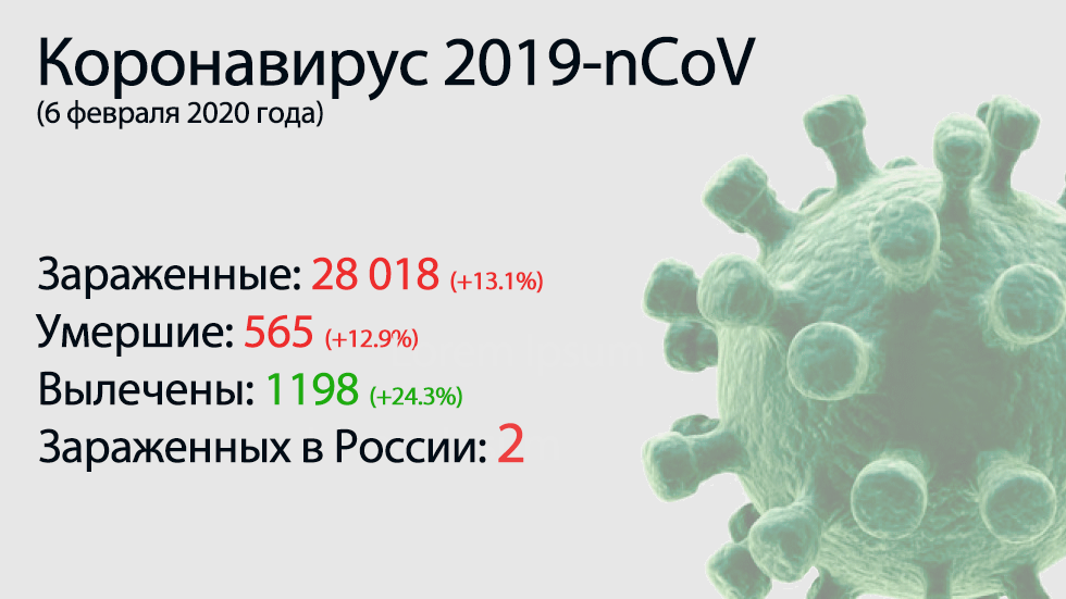 Lo principal del coronavirus-nCoV 2019 el 6 de febrero.  El récord del número de muertes por día
