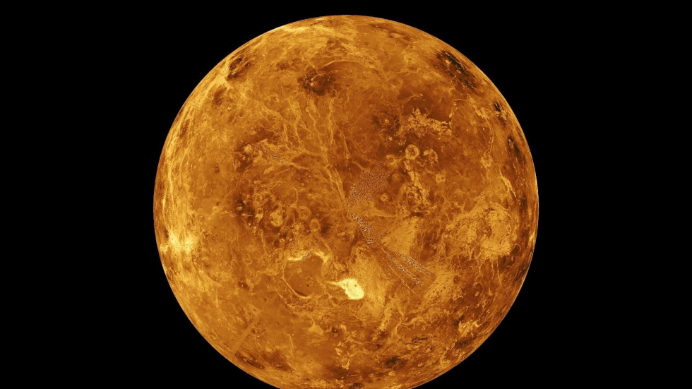 Nave espacial encontró vida accidentalmente en Venus