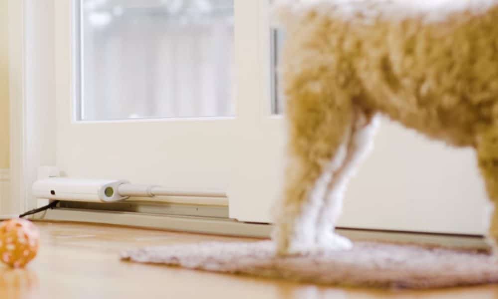 Este abridor de puerta corredera inteligente que se muestra en CES 2020 es perfecto para los dueños de mascotas