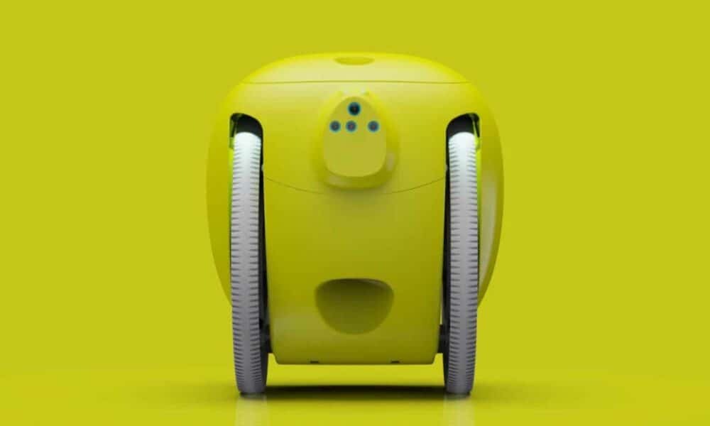 Este pequeño robot te seguirá y llevará tus cosas por ti.