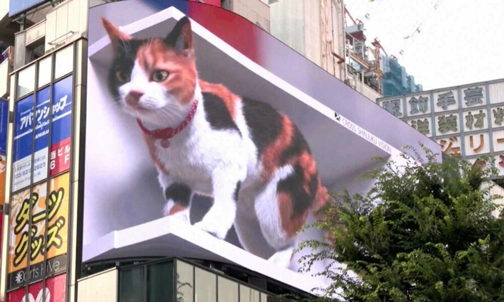 Haría cualquier cosa por este gato de cartelera digital en Japón