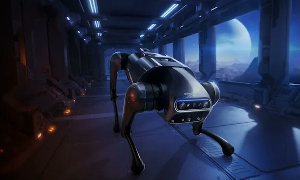 xiaomi cyberdog robotic dog in a hallway at night