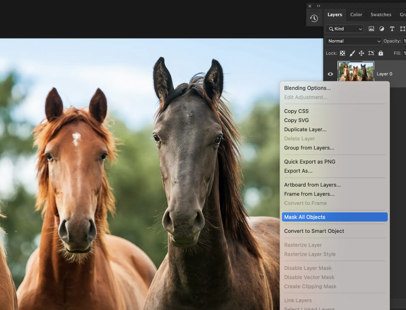 Ilustración: Adobe Max 2021: lleno de nuevas funciones en Photoshop, Illustrator, Lightroom ...