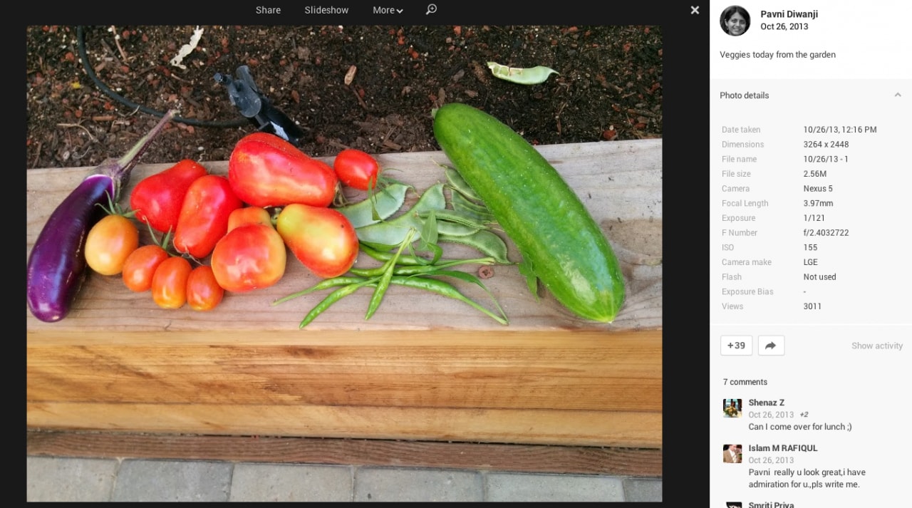 Las primeras fotos tomadas por un Nexus 5 aparecen en Google+