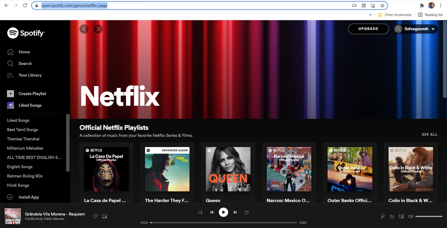 Hub de pistas de sonido de Netflix Reproductor web de Spotify