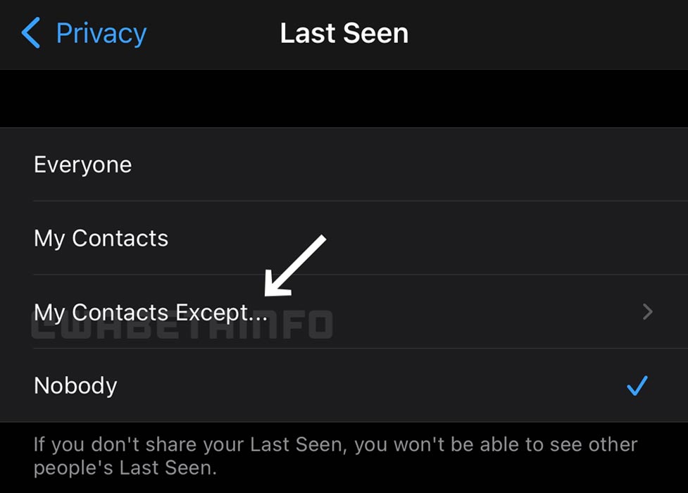 Captura de pantalla de contactos específicos vistos por última vez en WhatsApp