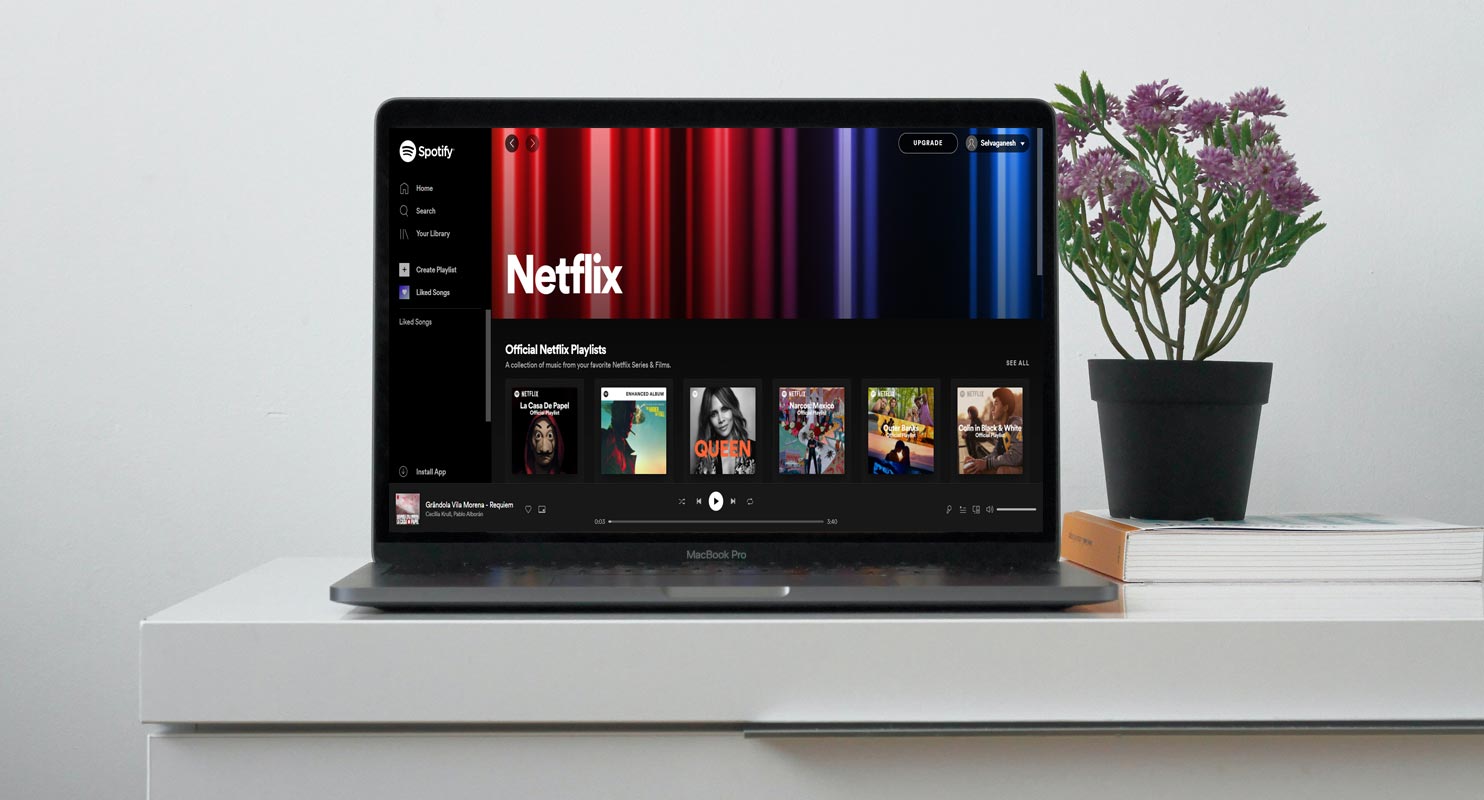 Netflix Hub Spotify en Macbook