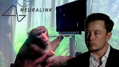 Neuralink presuntamente torturando monos
