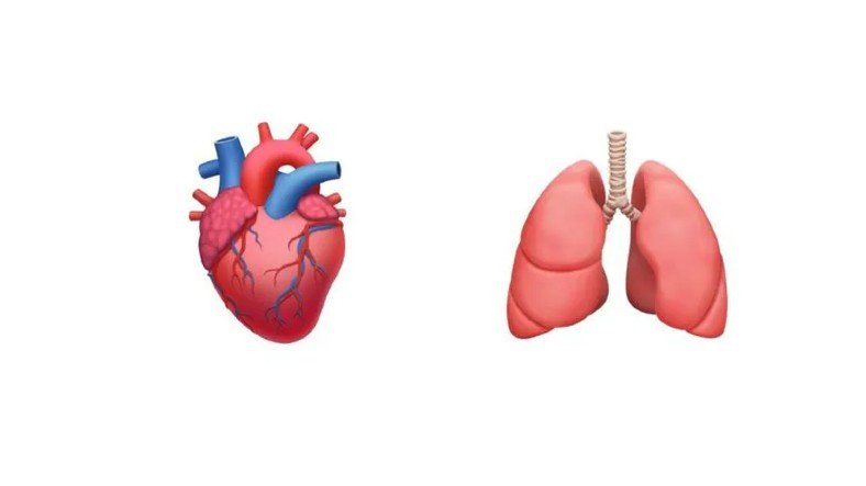 Los médicos creen que debería haber más emojis de órganos