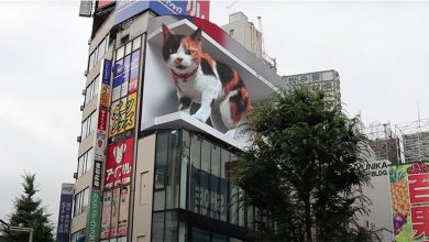 Video viral de animación de gato gigante en 3D en Japón