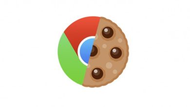 Google reemplaza la política de cookies con FLoC