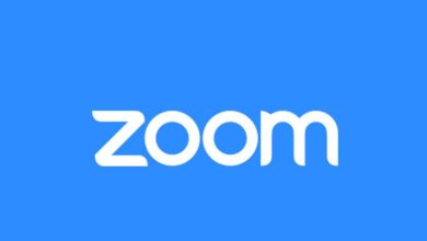 Zoom, que también se usa en nuestro país, está prohibido en las escuelas de EE.UU.