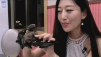 Presentador chino se disculpa por video comiendo murciélago