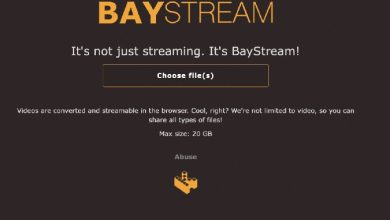 El Sitio para Ver Películas y Series en The Pirate Bay sin Descargar