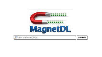 Malas noticias para los usuarios de Torrent: MagnetDL cerrado