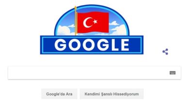 Google Doodle para el 29 de octubre Día de la República