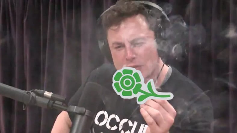 Elon Musk bebe drogas en vivo