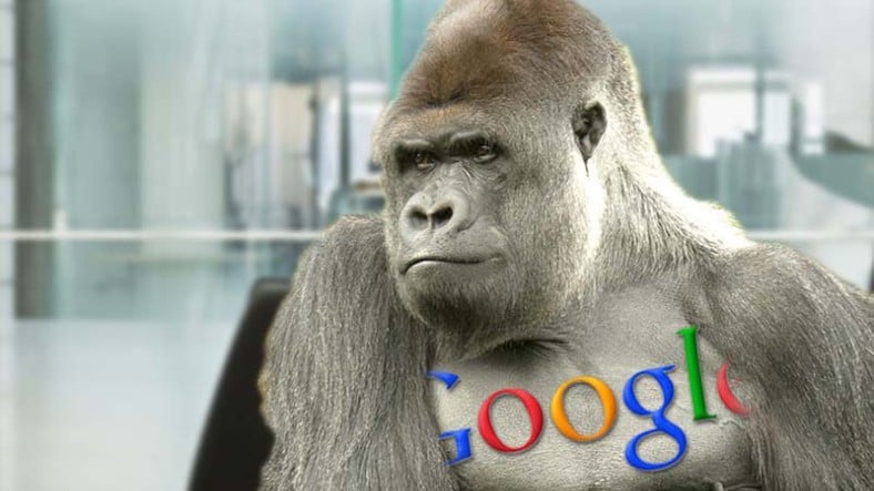 Google Fotoğraflar'da Zenciler İçin 'Gorilla' Benzetmesine Geçici Çözüm
