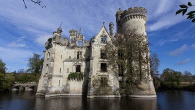 Un grupo de 6.500 personas compró un castillo en Francia
