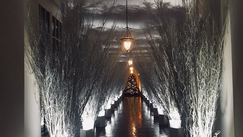 Beyaz Saray’ın Sosyal Medyayı Ağlatan, Korku Filminden Bir Sahne Gibi Görünen Noel Süslemesi