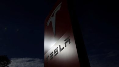 ¡El camión totalmente eléctrico de Tesla visto por primera vez!