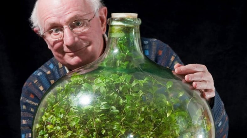 ¡Una planta que ha vivido durante 40 años sin ponerle una gota de agua!
