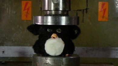 Prese Koyulan Furby’nin İlginç Videosu