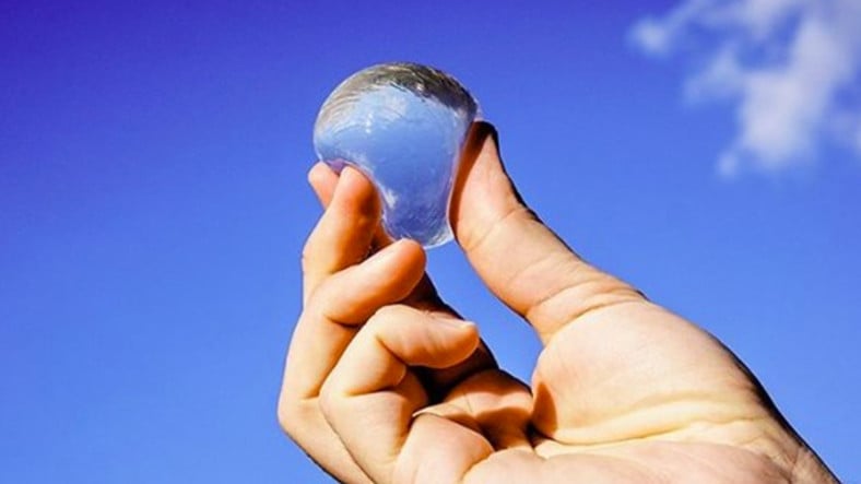 ¡Llegan esferas de agua que harán que el uso de botellas para mascotas sea historia!