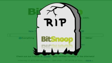 Uno nuevo agregado a los sitios de torrents cerrados: BitSnoop
