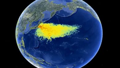 ¡La radiación en Fukushima se eleva a niveles increíbles!